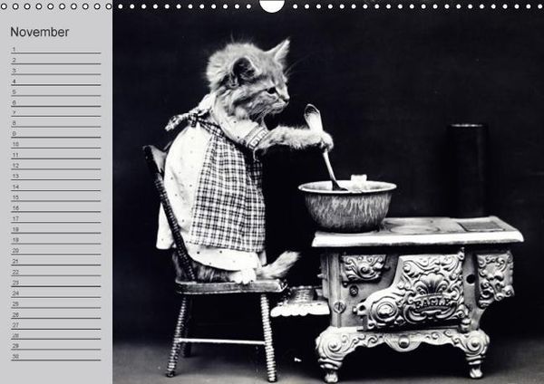 Produktbild: Katzen und Hunde - Nostalgie auf Pfoten (Wandkalender immerw&auml;hrend DIN A3 quer)