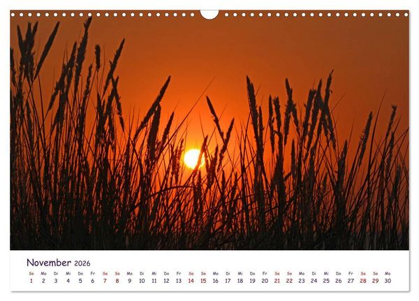 Produktbild: Natur und Landschaft Mecklenburg - Vorpommern 2026 (Wandkalender 2026 DIN A3 quer), CALVENDO Monatskalender