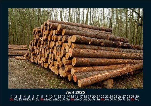 Produktbild: B&auml;ume 2025 Fotokalender DIN A5