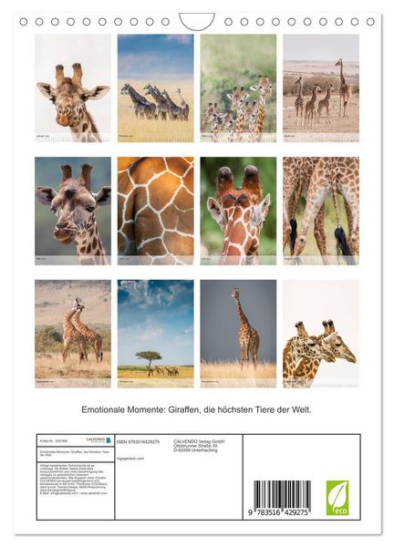 Produktbild: Emotionale Momente: Giraffen, die h&ouml;chsten Tiere der Welt. (Wandkalender 2026 DIN A4 hoch), CALVENDO Monatskalender