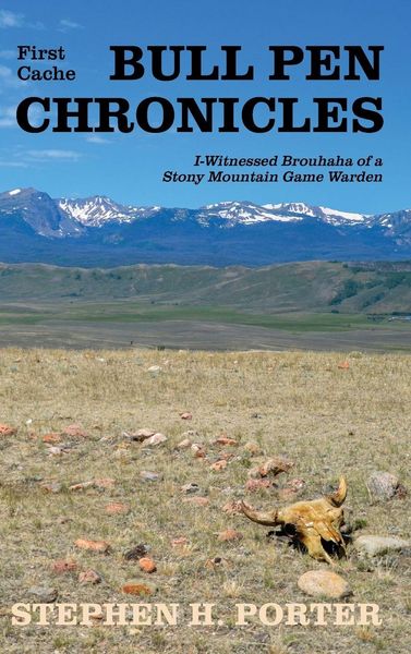 Produktbild: Bull Pen Chronicles