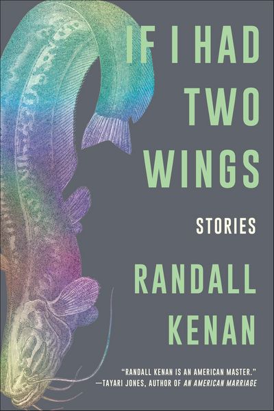 Produktbild: If I Had Two Wings