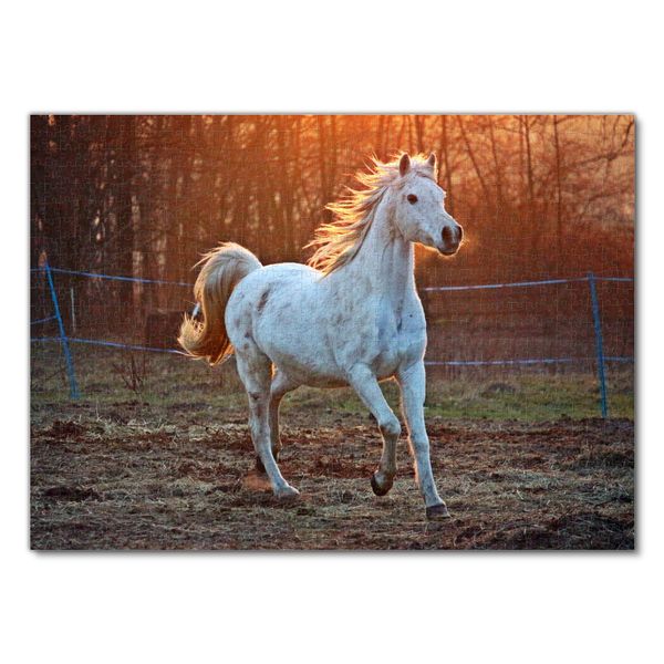 Produktbild: Lais Puzzle Thoroughbred Horse 1000 Teile