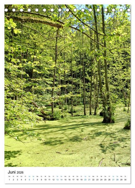 Produktbild: Insel R&uuml;gen - Kreide, Landschaft, Leuchtt&uuml;rme (Tischkalender 2026 DIN A5 hoch), CALVENDO Monatskalender