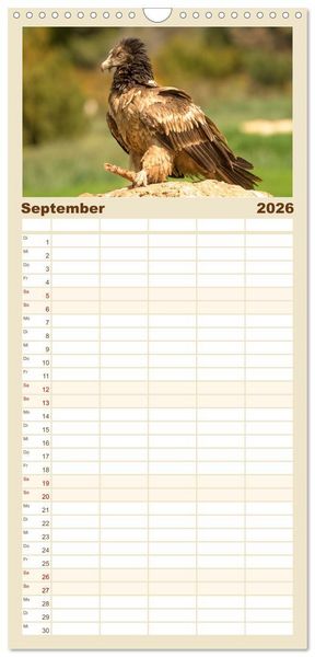 Produktbild: Familienplaner 2026 - Die Geier sind los mit 5 Spalten (Wandkalender, 21 x 45 cm) CALVENDO