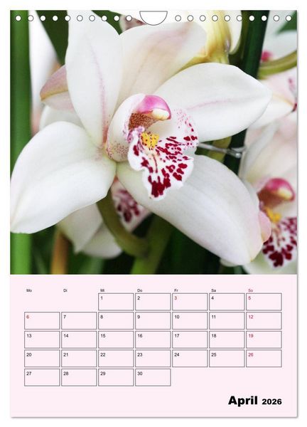 Produktbild: Orchideenliebe (Wandkalender 2026 DIN A4 hoch), CALVENDO Monatskalender