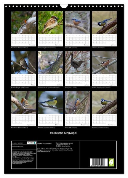 Produktbild: Heimische Singv&ouml;gel (Wandkalender 2026 DIN A3 hoch), CALVENDO Monatskalender