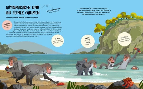 Produktbild: Teamwork im Tierreich
