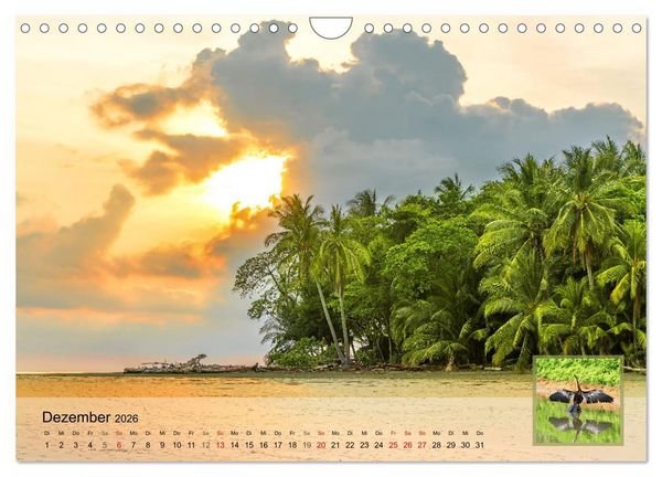 Produktbild: Costa Rica Dreams Tropische Naturwunder (Wandkalender 2026 DIN A4 quer), CALVENDO Monatskalender