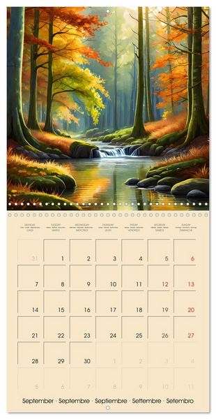 Produktbild: The forest through the seasons (Wall Calendar 2026 12 &times; 12 Inch) CALVENDO 12 Month Wall Calendar
