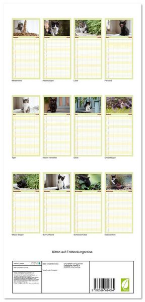 Produktbild: Familienplaner 2026 - Kitten auf Entdeckungsreise mit 5 Spalten (Wandkalender, 21 x 45 cm) CALVENDO