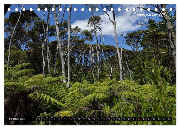 Produktbild: Neuseeland (Tischkalender 2026 DIN A5 quer), CALVENDO Monatskalender