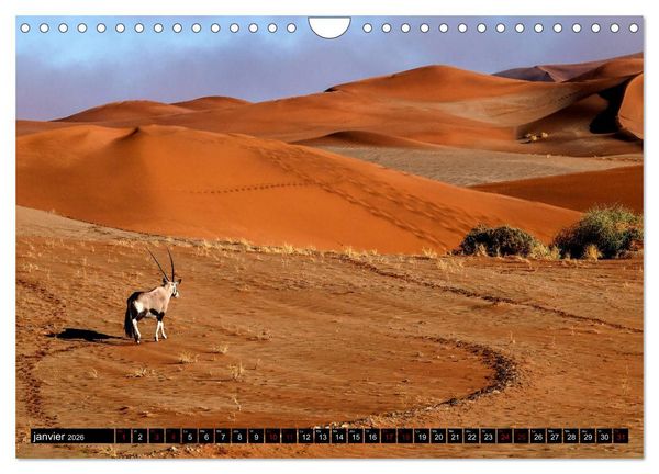 Produktbild: Namibie Rouge et Or (Calendrier mural 2026 DIN A4 vertical), CALVENDO calendrier mensuel