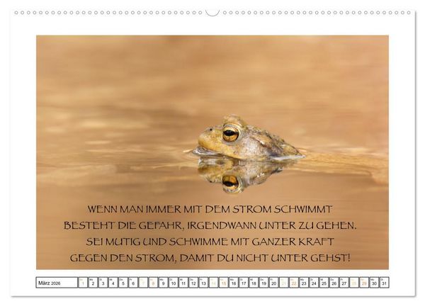 Produktbild: Spruch verliebt (hochwertiger Premium Wandkalender 2026 DIN A2 quer), Kunstdruck in Hochglanz