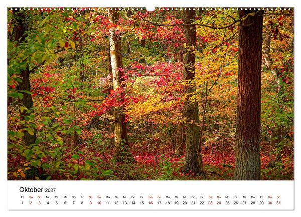 Produktbild: Naturwunder Stettiner Haff (Wandkalender 2027 DIN A2 quer), CALVENDO Monatskalender