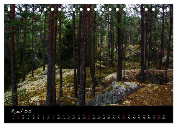 Produktbild: Wald (Tischkalender 2026 DIN A5 quer), CALVENDO Monatskalender