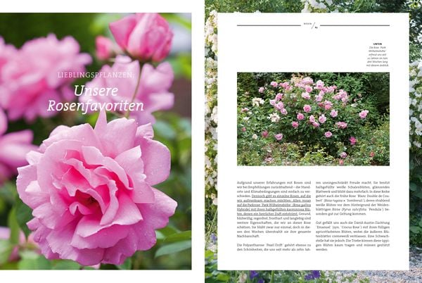 Produktbild: Ein Garten ist niemals fertig