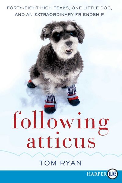 Produktbild: Following Atticus LP