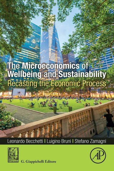 Produktbild: The Microeconomics of Wellbeing and Sustainability