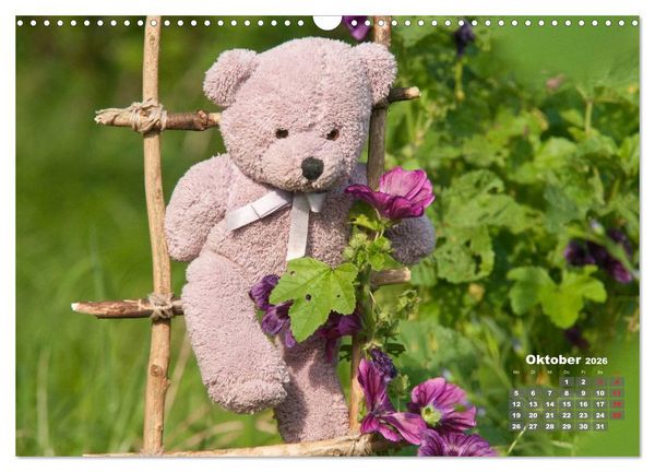 Produktbild: Geliebte B&auml;ren - Teddys (Wandkalender 2026 DIN A3 quer), CALVENDO Monatskalender