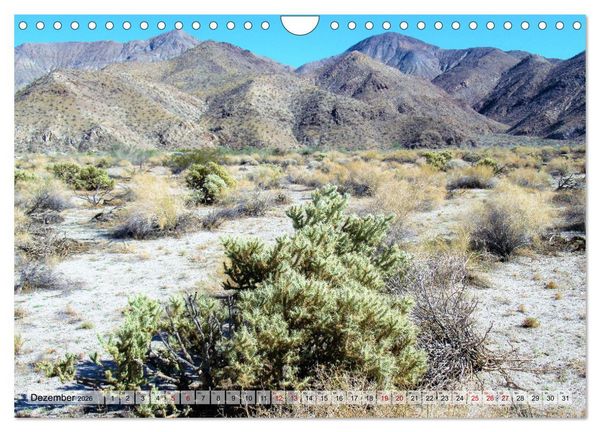 Produktbild: Palm Springs und Umgebung (Wandkalender 2026 DIN A4 quer), CALVENDO Monatskalender