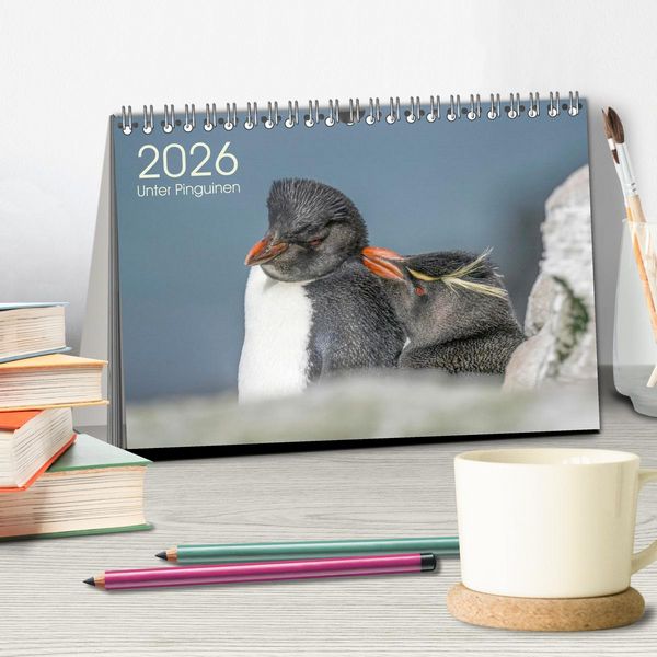 Produktbild: Unter Pinguinen (Tischkalender 2026 DIN A5 quer), CALVENDO Monatskalender