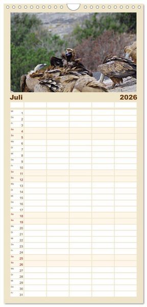 Produktbild: Familienplaner 2026 - Geier - die Gesundheitspolizei! mit 5 Spalten (Wandkalender, 21 x 45 cm) CALVENDO