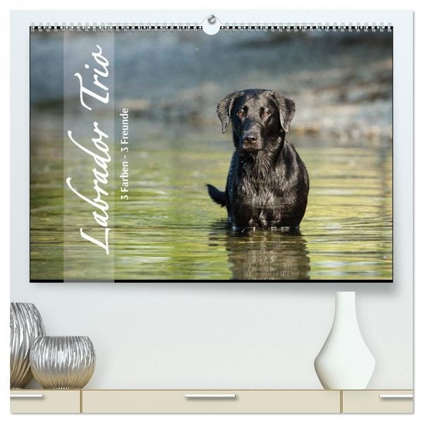 Produktbild: Labrador Trio - 3 Farben, 3 Freunde (hochwertiger Premium Wandkalender 2026 DIN A2 quer), Kunstdruck in Hochglanz