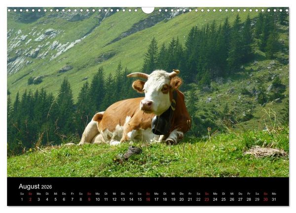 Produktbild: Die Welt der K&uuml;he (Wandkalender 2026 DIN A3 quer), CALVENDO Monatskalender