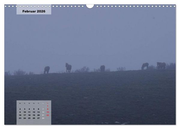 Produktbild: Nordportugal - Heimat der letzten wilden Pferde (Wandkalender 2026 DIN A3 quer), CALVENDO Monatskalender