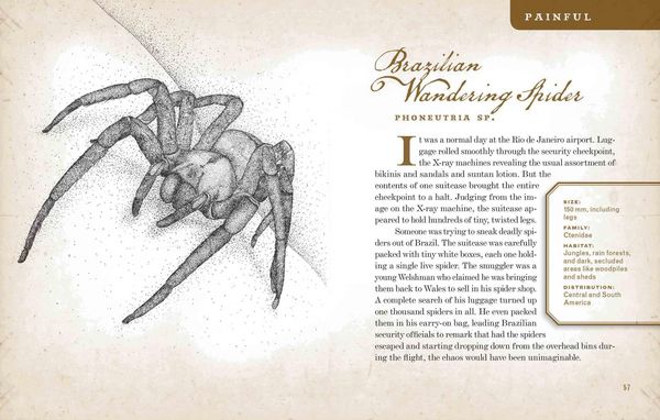 Produktbild: Wicked Bugs