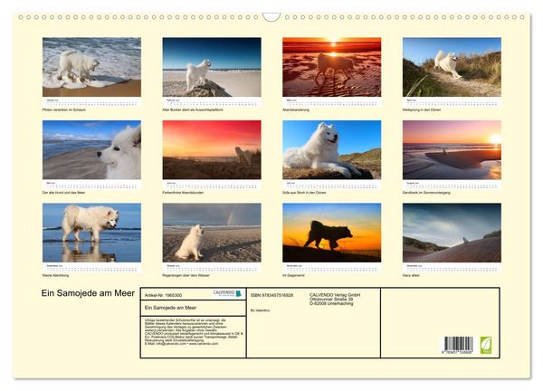 Produktbild: Ein Samojede am Meer (Wandkalender 2026 DIN A2 quer), CALVENDO Monatskalender