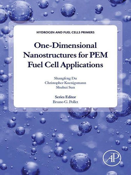 Produktbild: One-dimensional Nanostructures for PEM Fuel Cell Applications
