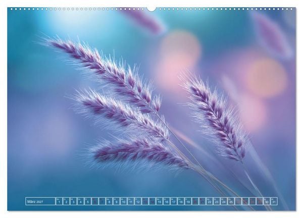 Produktbild: Lichtspiele der Natur (Wandkalender 2027 DIN A2 quer), CALVENDO Monatskalender