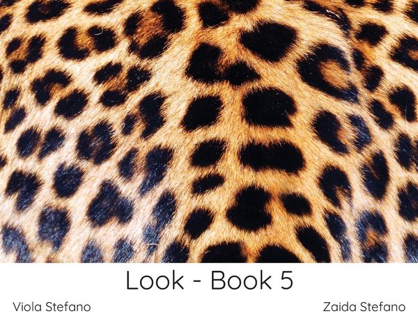 Produktbild: Look - Book 5