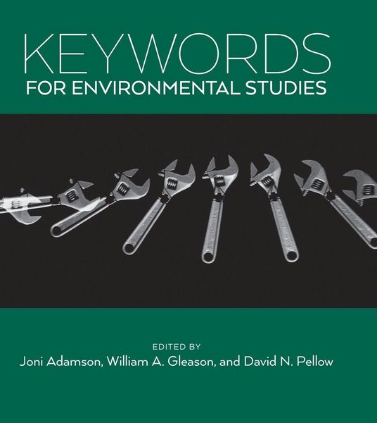 Produktbild: Keywords for Environmental Studies