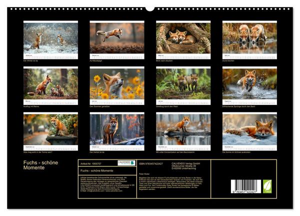 Produktbild: Fuchs - sch&ouml;ne Momente (hochwertiger Premium Wandkalender 2026 DIN A2 quer), Kunstdruck in Hochglanz
