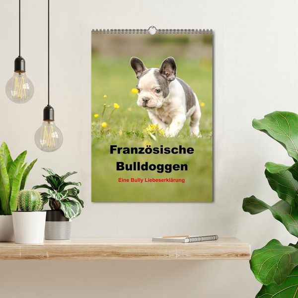 Produktbild: Franz&ouml;sische Bulldoggen - Eine Bully Liebeserk&auml;rung (Wandkalender 2026 DIN A3 hoch), CALVENDO Monatskalender