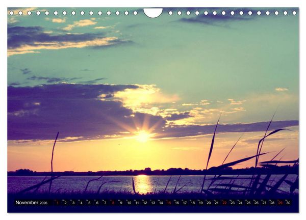 Produktbild: Focus Natur (Wandkalender 2026 DIN A4 quer), CALVENDO Monatskalender