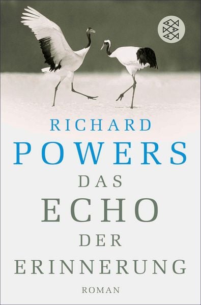 Produktbild: Das Echo der Erinnerung