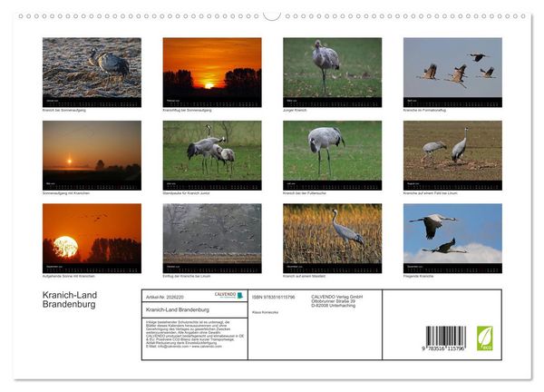 Produktbild: Kranich-Land Brandenburg (hochwertiger Premium Wandkalender 2026 DIN A2 quer), Kunstdruck in Hochglanz