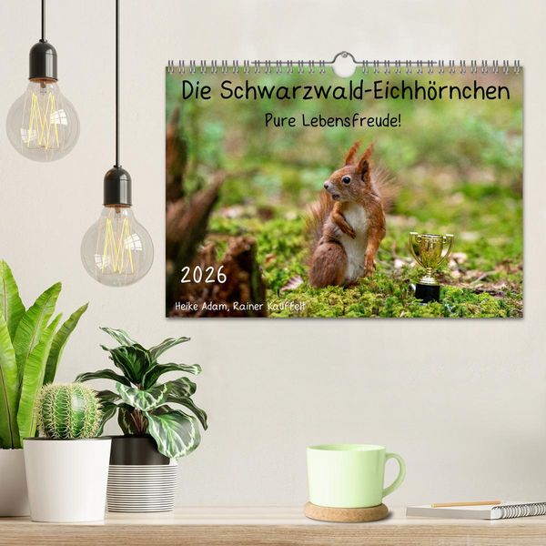 Produktbild: Die Schwarzwald-Eichh&ouml;rnchen (Wandkalender 2026 DIN A4 quer), CALVENDO Monatskalender