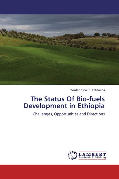 Produktbild: The Status Of Bio-fuels Development in Ethiopia