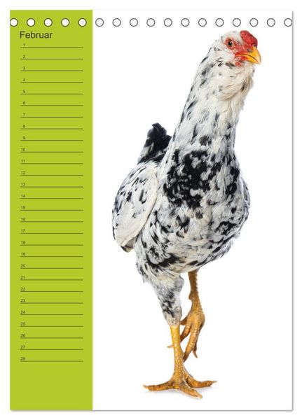 Produktbild: Kunterbunte H&uuml;hner Truppe (Tischkalender 2026 DIN A5 hoch), CALVENDO Monatskalender