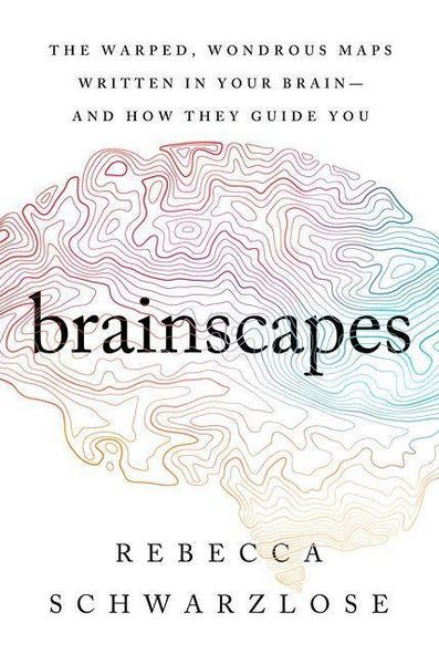 Produktbild: Brainscapes