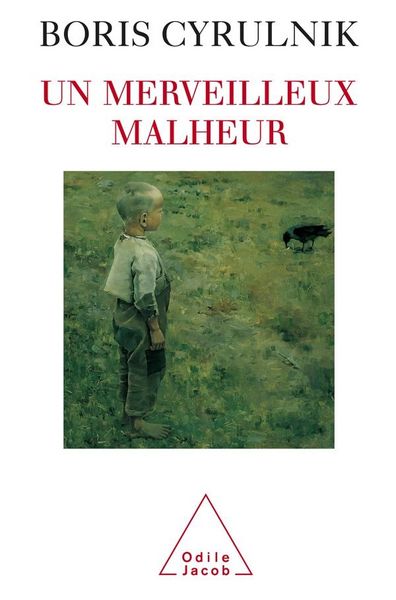 Produktbild: Un merveilleux malheur