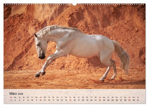 Produktbild: Pferde 2026 Kraft und Anmut (hochwertiger Premium Wandkalender 2026 DIN A2 quer), Kunstdruck in Hochglanz
