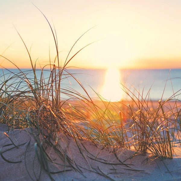 Produktbild: Strand und Meer / Beach and Sea 2027