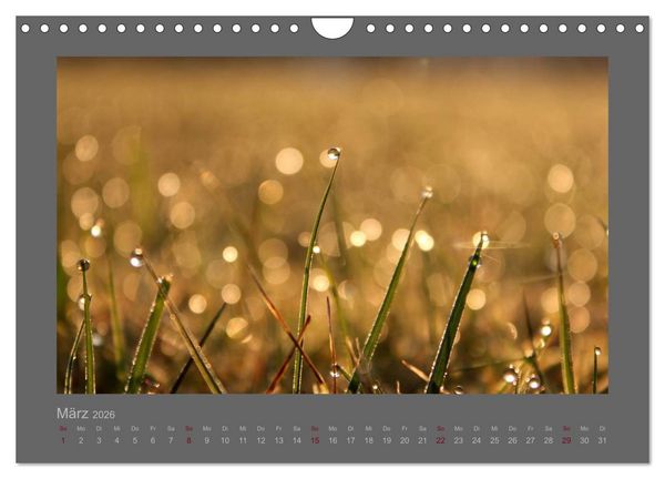 Produktbild: Kleine, gro&szlig;e Tropfenwelt (Wandkalender 2026 DIN A4 quer), CALVENDO Monatskalender