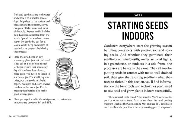 Produktbild: Starting Seeds